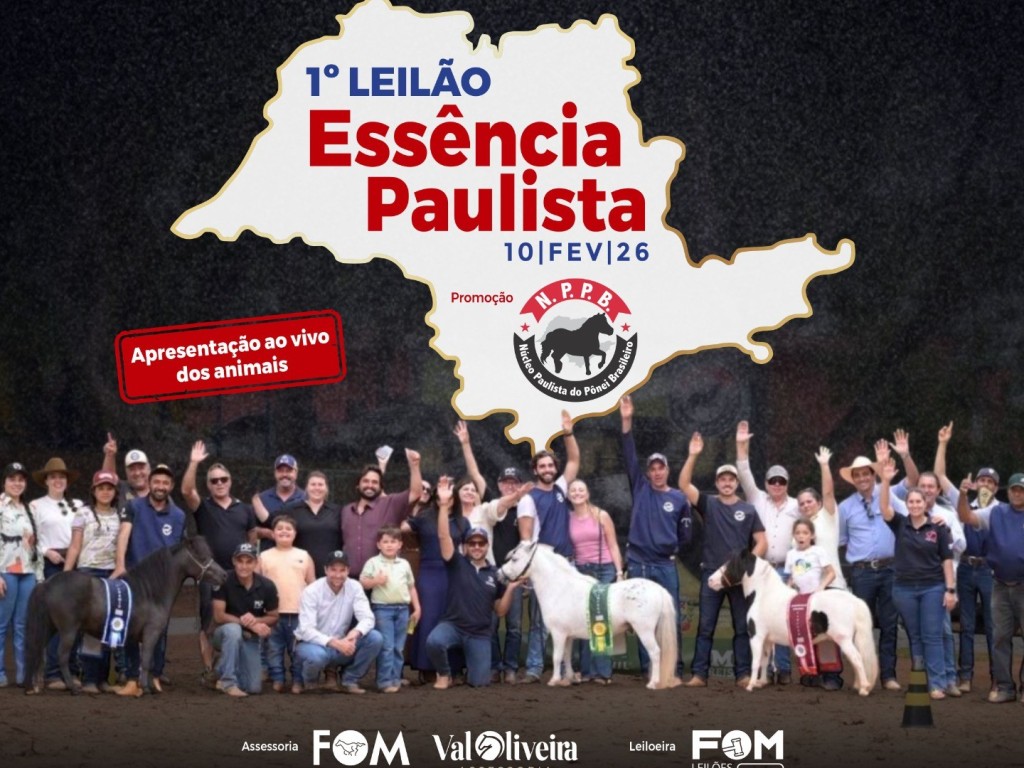 Galeria de Fotos